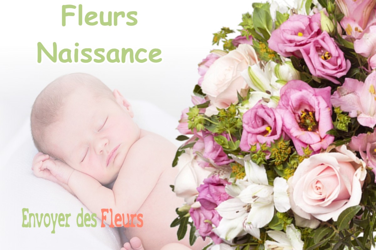 lIVRAISON FLEURS NAISSANCE à THOISSIA